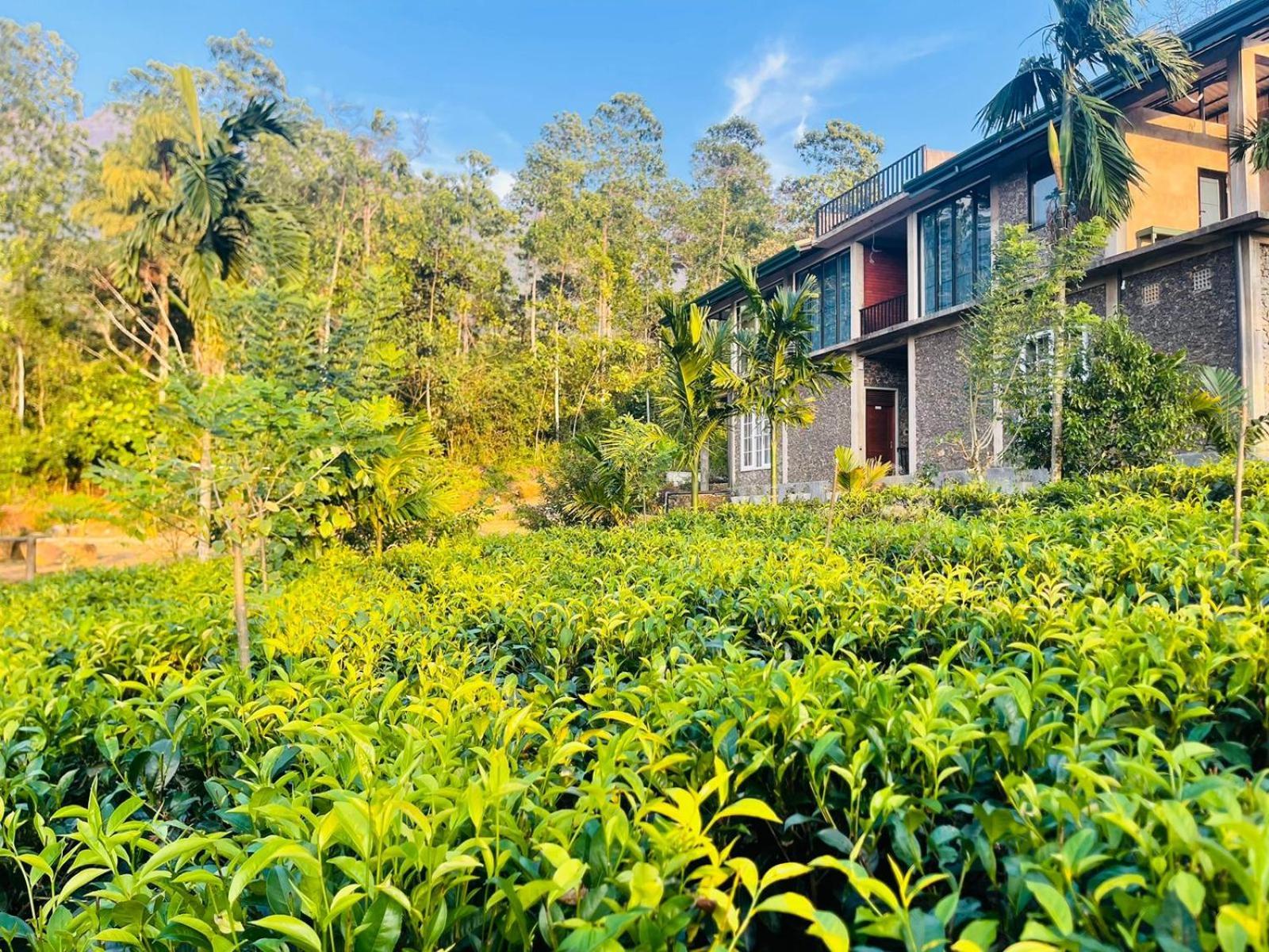 Palabaddala Tea And Eco Lodge Ратнапура Экстерьер фото